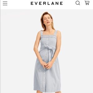 Everlane Japanese GoWeave Picnic Dress in Black